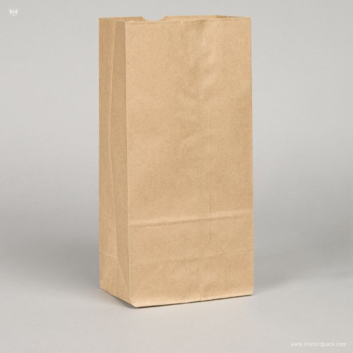 99-010411 #10 BROWN PAPER BAG
