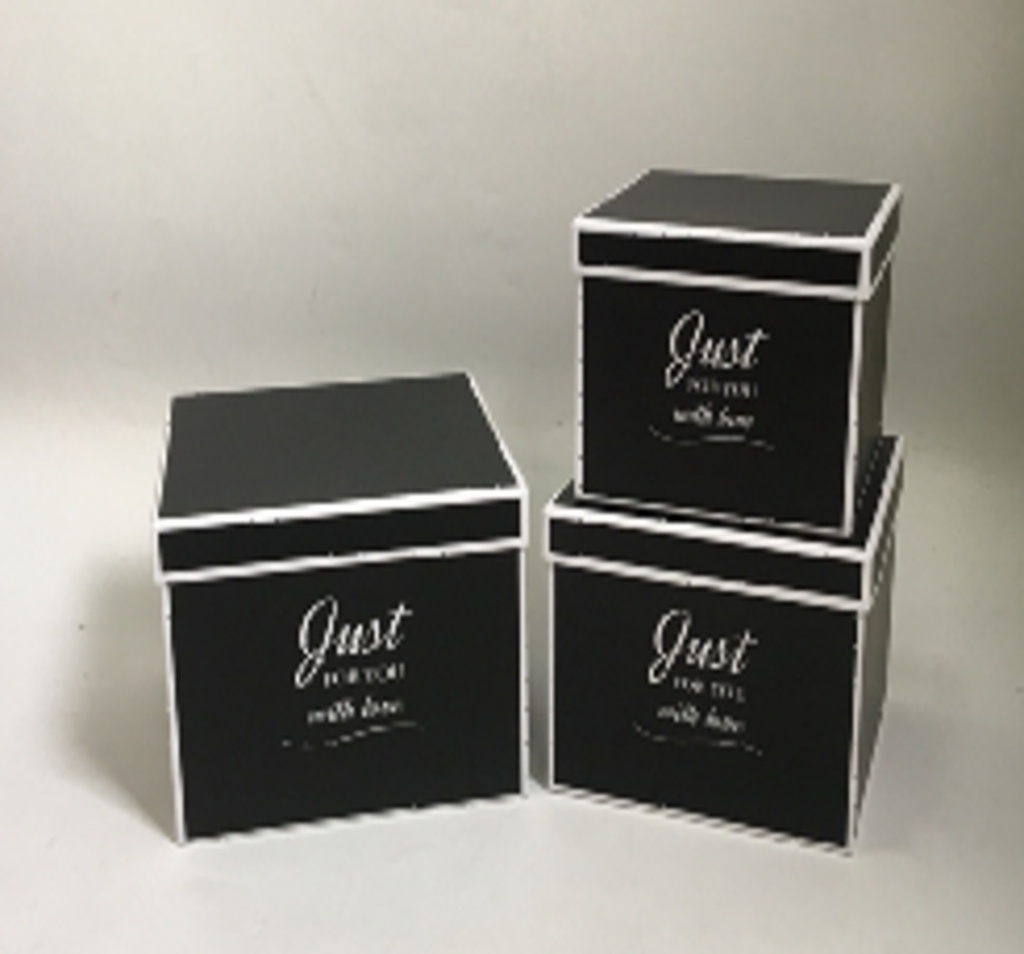 BLACK/WHITE SQUARE FLOWER/CAKE/GIFT BOXES 3PC W/WRITING (W5823)