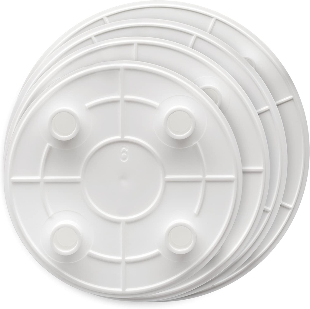 20CM CAKE PLATE (7.75") 5CT