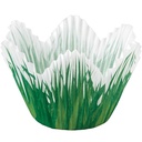 CUP SHPD GRASS 24CT 415-7051