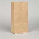 99-010411 #10 BROWN PAPER BAG