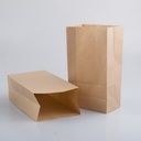 99-01045 #5 BROWN PAPER BAG
